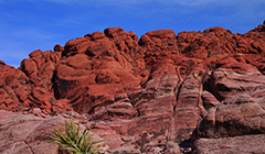 red rock canyon